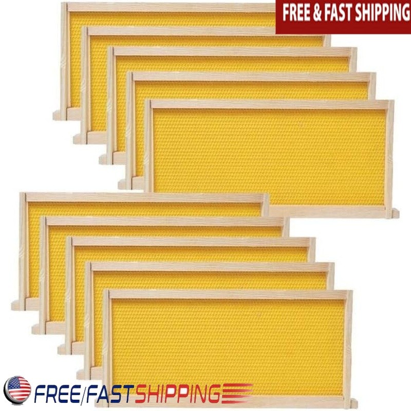 10-Pack Beehive Frames Beeswax Foundation Medium Super Langstroth Assembly New