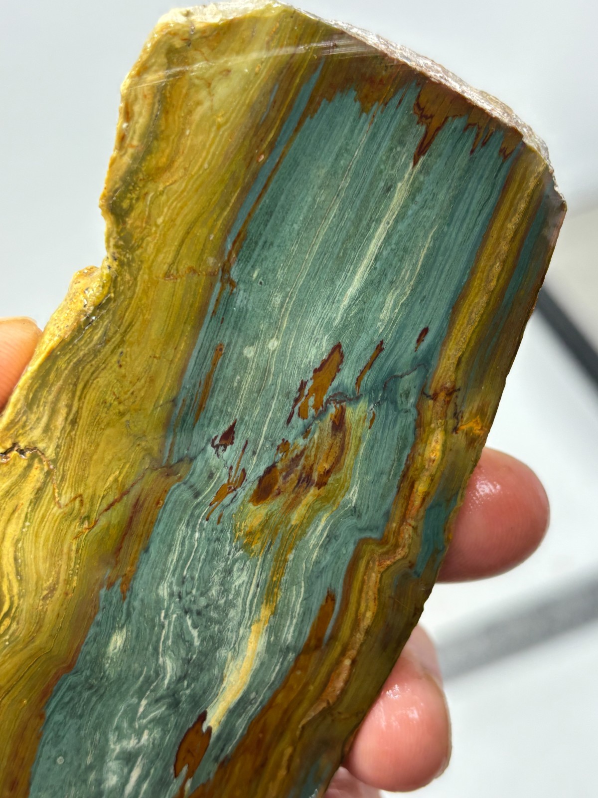 Gary Green Caldera Freedom Jasper Slab Cabbing Lapidary Combo Ship Avail