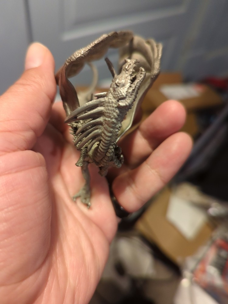 Tom Meier Dragon Rider