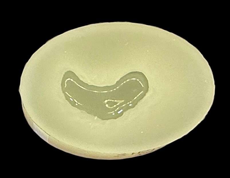 Medium Seashell Trinket Tray Mold For Resin