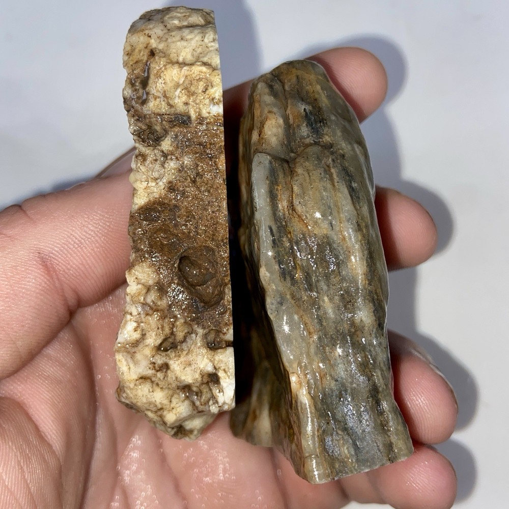 2 Pound 4 Oz Lapidary Rough Lot