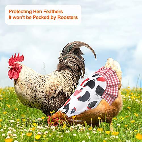Standard Chicken Saddle Hen Apron with Elastic Straps