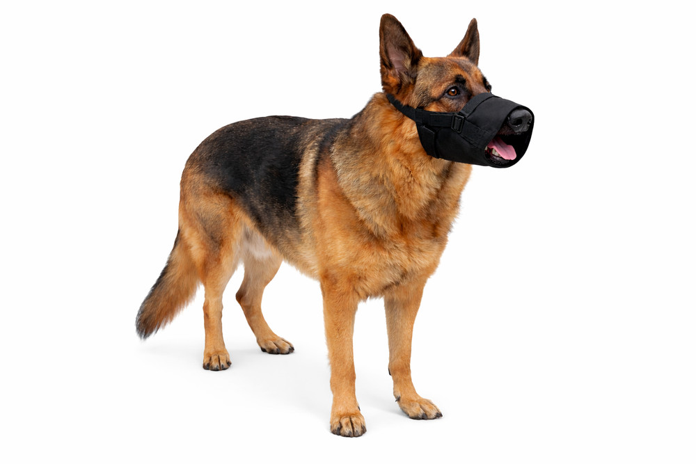 Dog Muzzle Adjustable Nylon Anti Bite Barking Training M L Fast Free Ship
