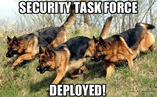 german Shepard refrigerator magnet