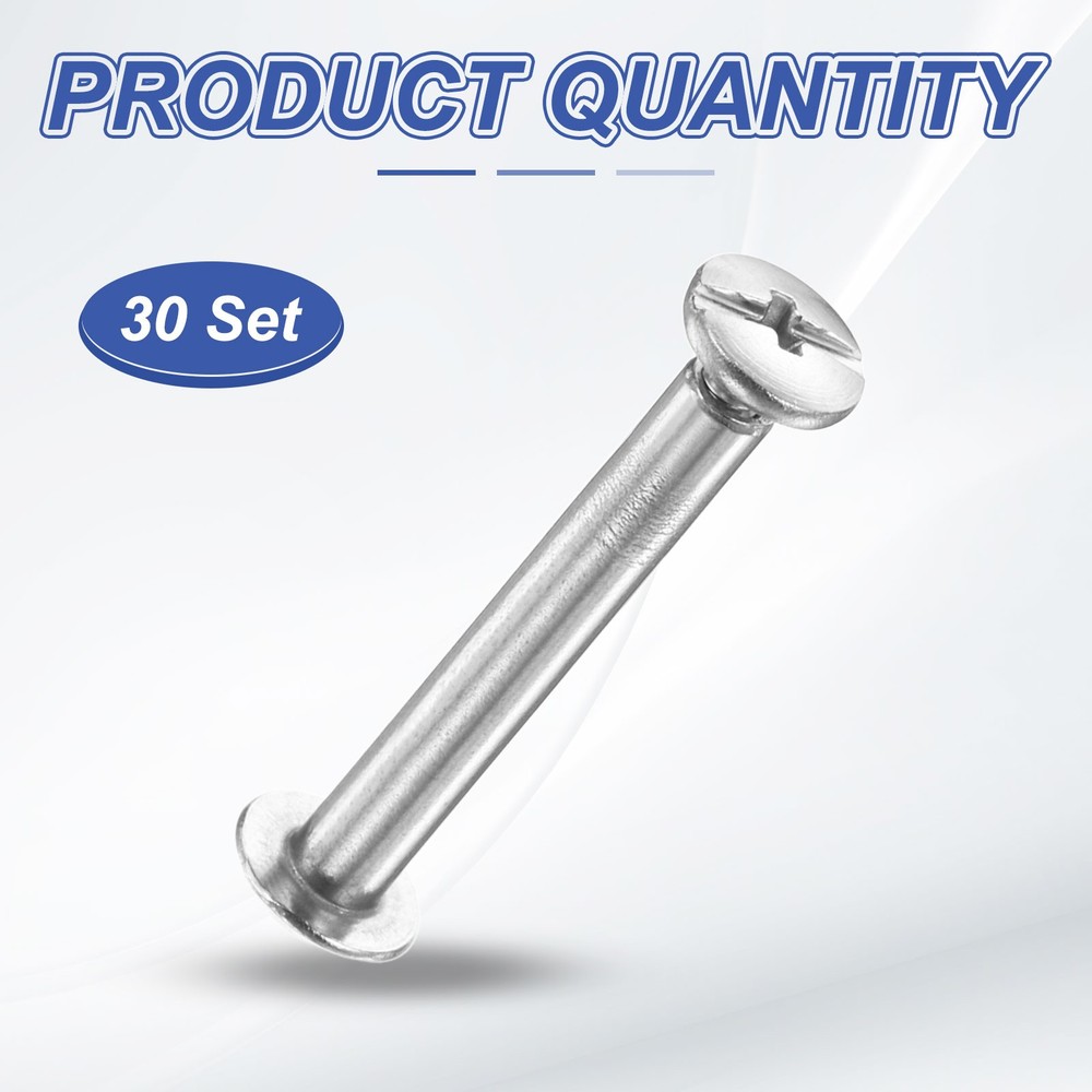 30set Phillips Chicago Screw M3x20mm Binding Post Screw, Silver