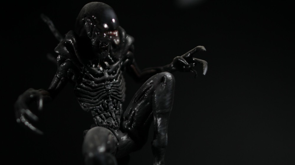 Alien Xenomorph With Eggs 3D Print Diorama Model