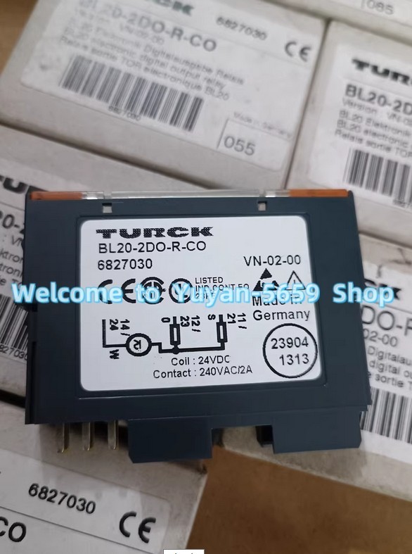 🔥 ✅ 1 PC New BL20-2DO-R-CO PLC Module #B5283H CL