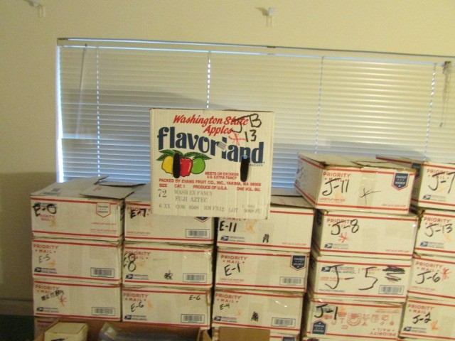 New Stelma Inc Board #80034180