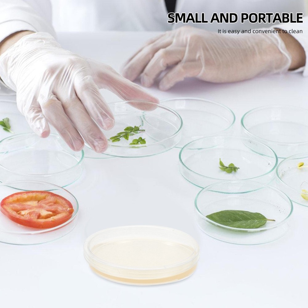 10 Pcs Prepoured Petri Dish Nutrient Agar Plate Extract