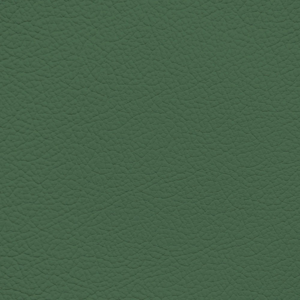 Lamborghini Verde Sagitta Leather Dye