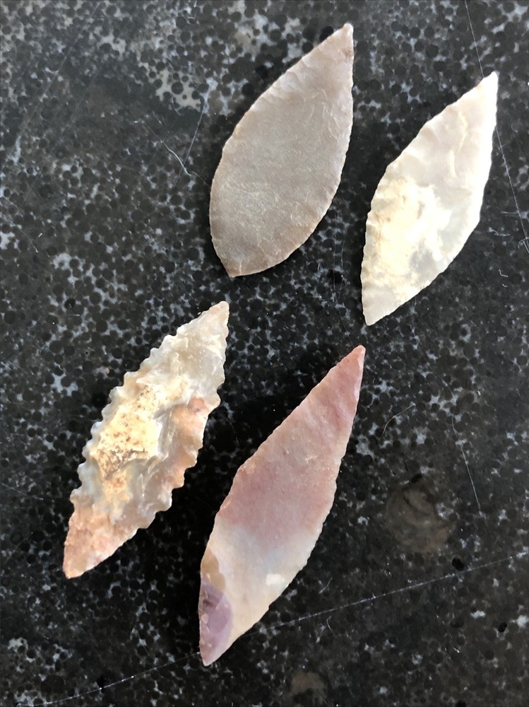 Very Rare Thin Finest Western Sahara 4 Neolithic Translucent Points Pristine A+