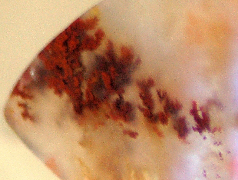 Carey Plume Agate Freeform Cabochon 60 carats