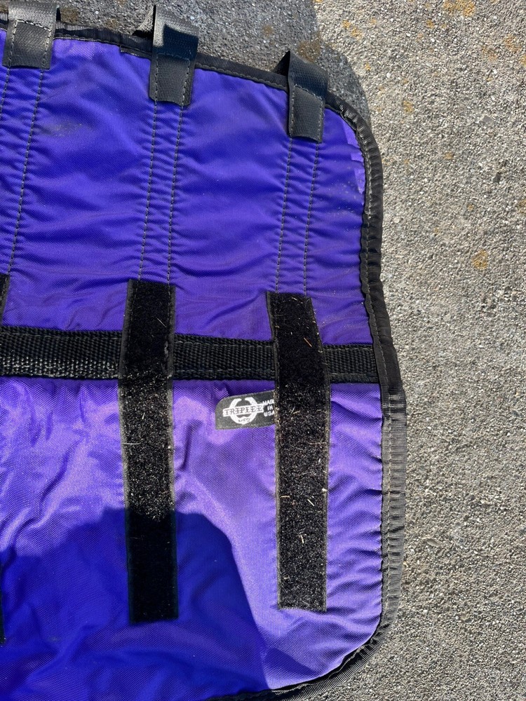 Purple Horse Boots