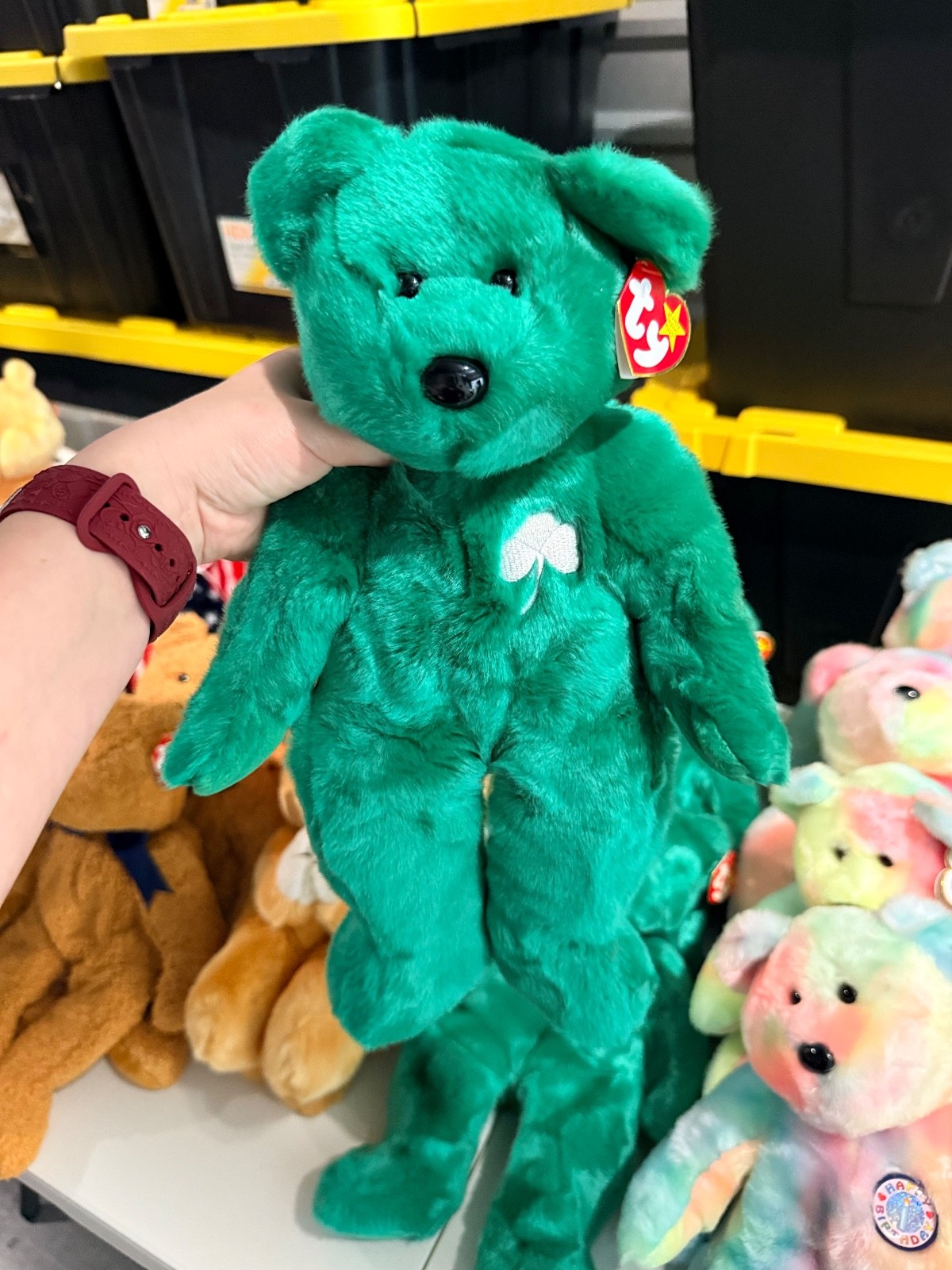 Ty Beanie Buddy BEARS Blowout! 25+ to pick from! Flat Rate Shipping!