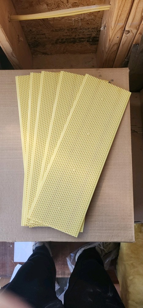 50 Pack Medium Super 5⅝" Prewaxed Plastic Beehive Rite-Cell Foundation