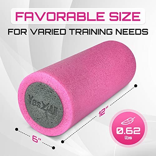 High-Density EPP Round Back Roller Pink/Grey Single - Two-Layer Foam Roller