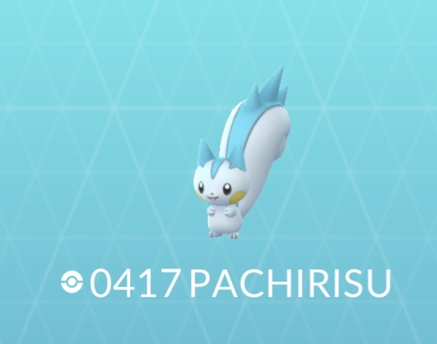 Pokémon Regional Pachirisu Go TD