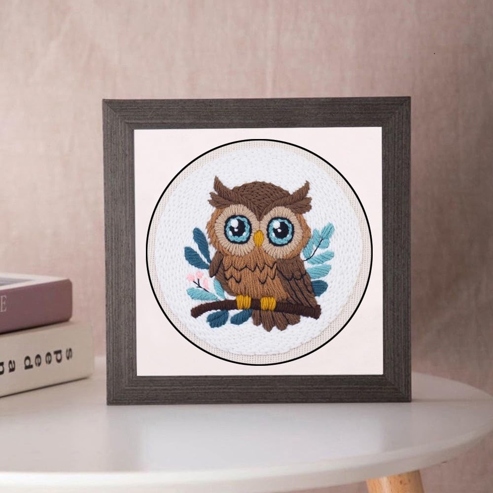 Esffaci Punch Needle Kit for Adults Beginner Starter Embroidery Owl