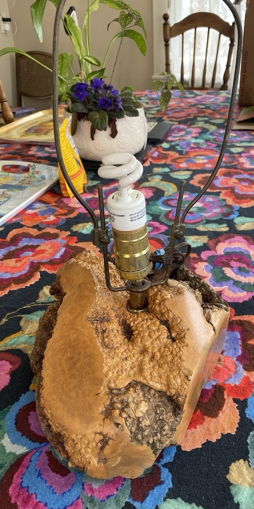 Burl Wood Lamp