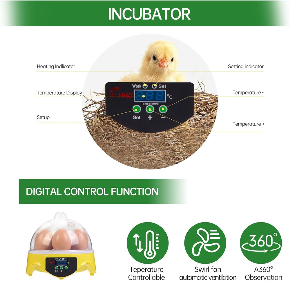 7-Egg Mini Egg Incubator with 360° View, Educational Hatching Kit for Kids, Clas