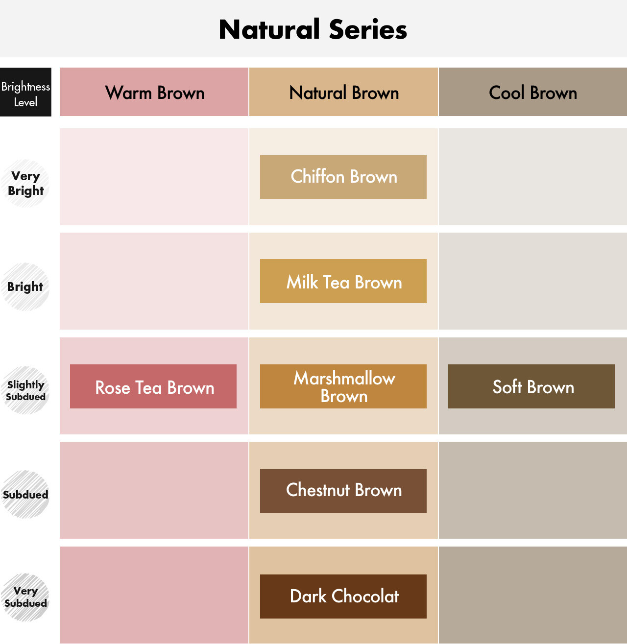 LIESE Soft Creamy Bubble Foam Hair Color Prettia Dying Kit