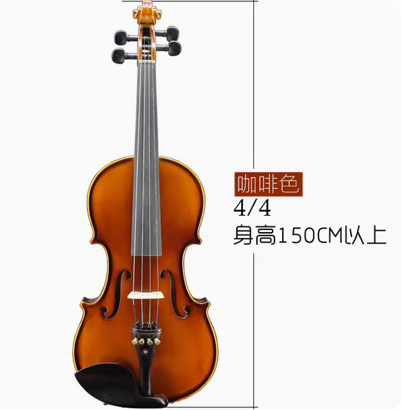 violin professional level solid wood practice exam for beginners children adults