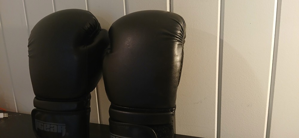 Boxing Gloves 12 oz