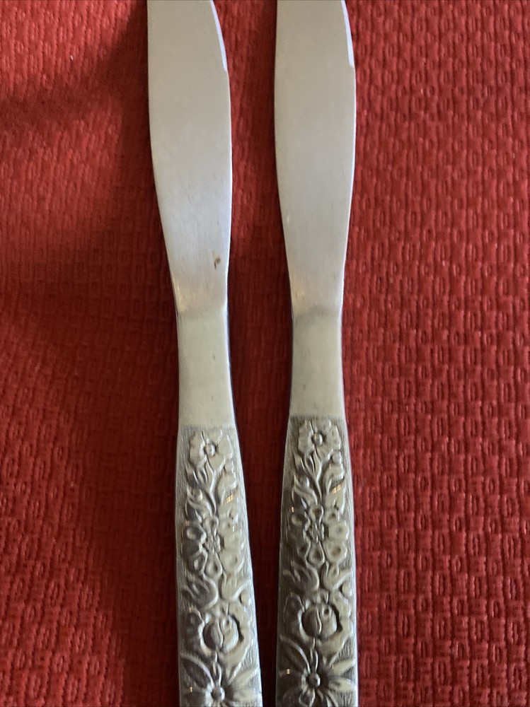 2 Oneida Malibu Stainless Dinner Knives