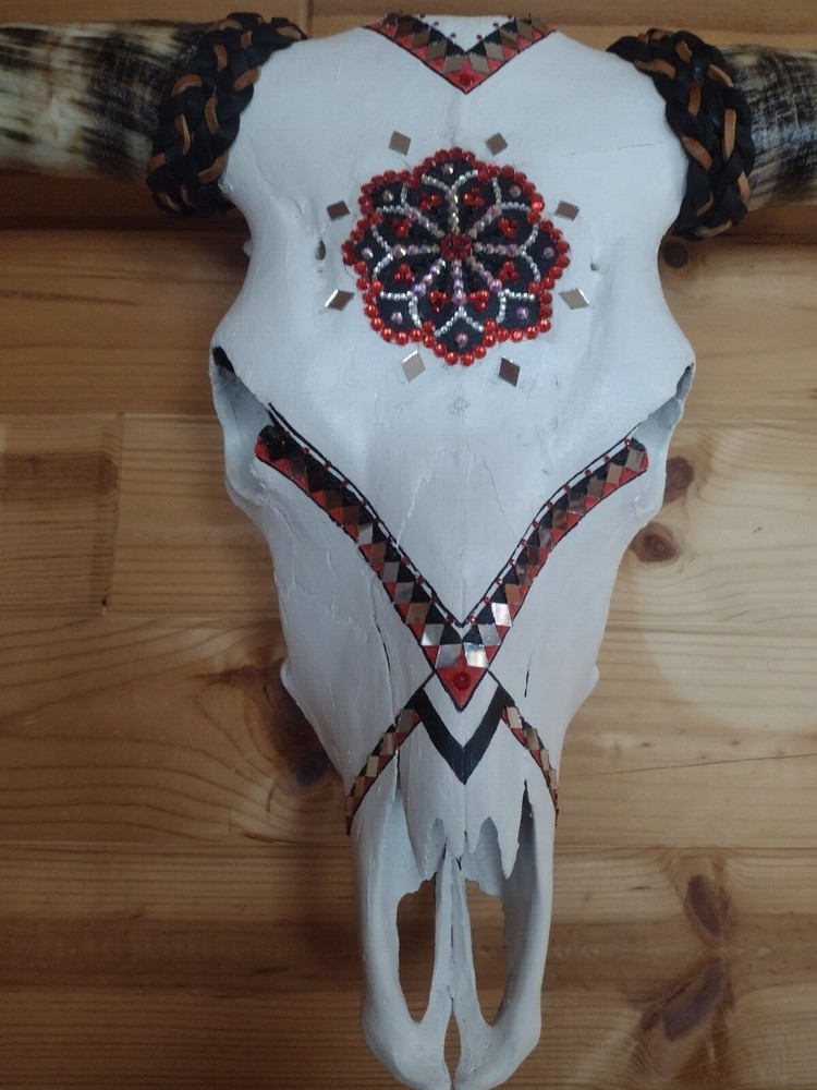 hand painted authentic highland steer skull