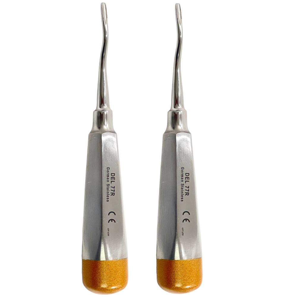 Premium Dental Root Elevator Serrated #77R Extraction Dental Instruments German