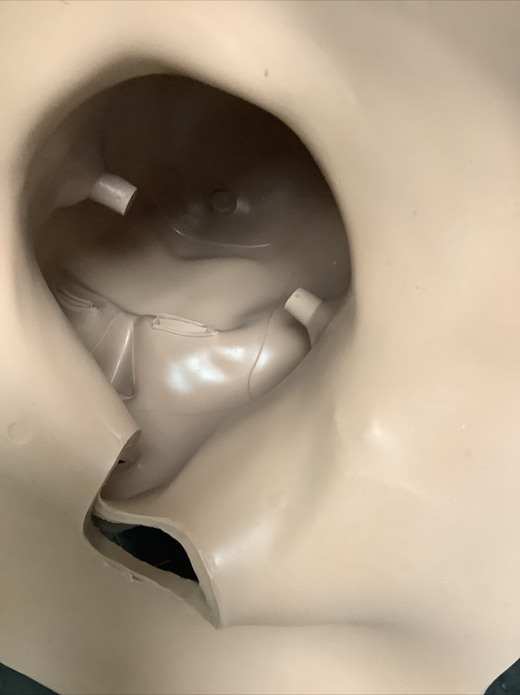 CAE MÉTI Head and Face Skin