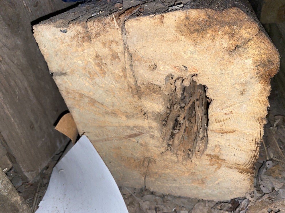 Hand Hewn Beams- Wormy Chestnut