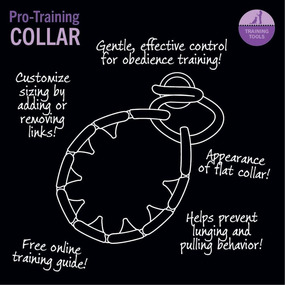 Large Dog Training Collar - Patented Design