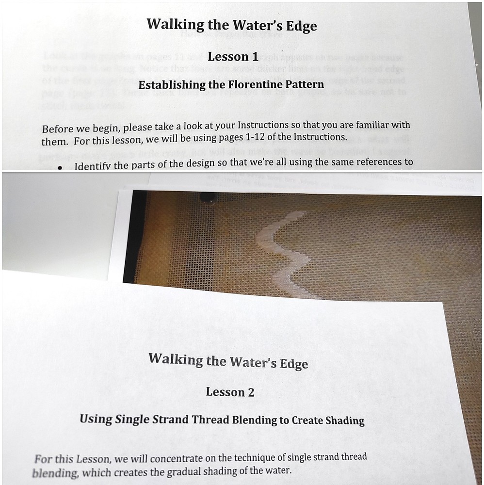 Diane Herrmann Needlepoint Pattern Walking Water’s Edge + RETIRED Class Lessons