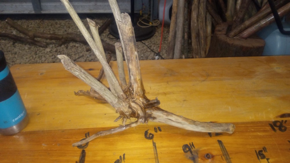 Beautiful Small Driftwood Tree