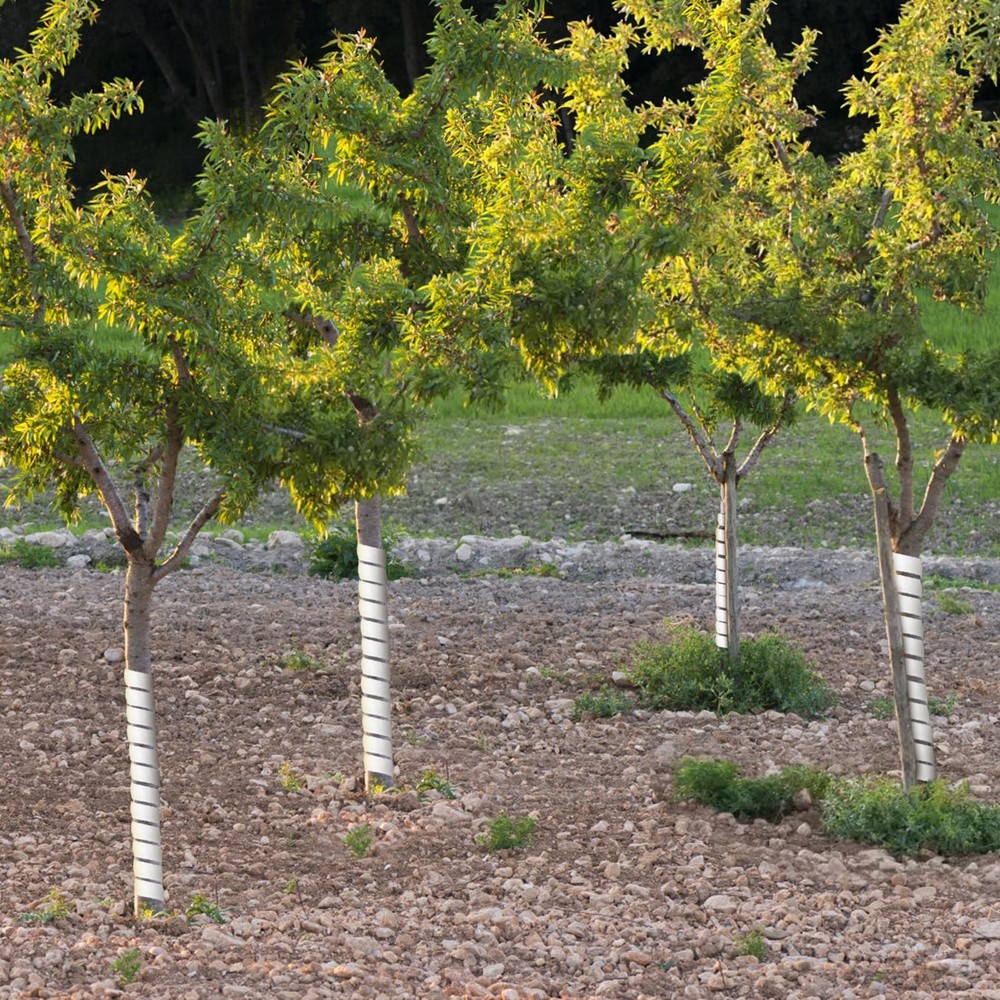 10 Pack Plastic Spiral Tree Trunk Protector Tree Bark Protector Tube Wrap