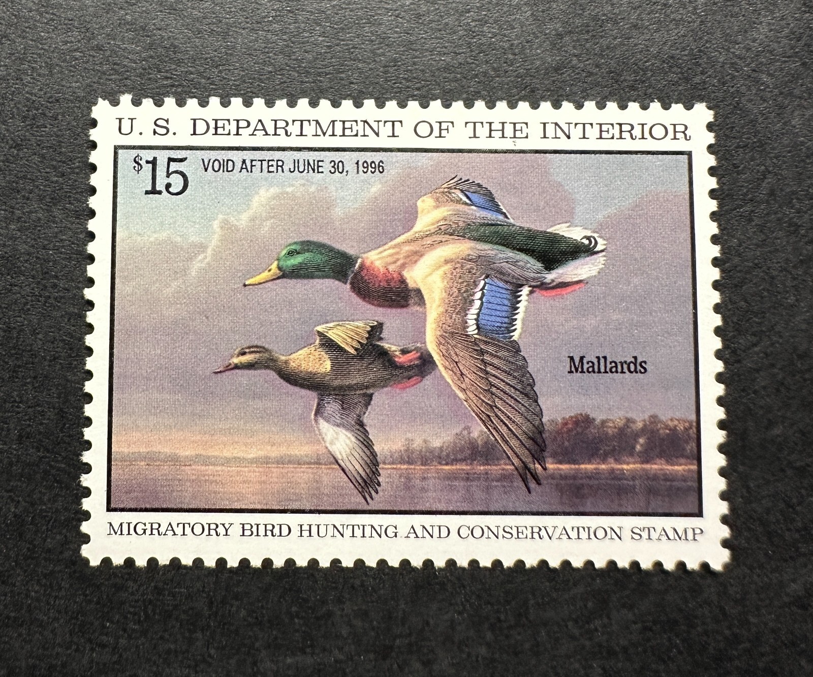 WTDstamps - #RW62 1995 - US Federal Duck Stamp - Mint OG NH