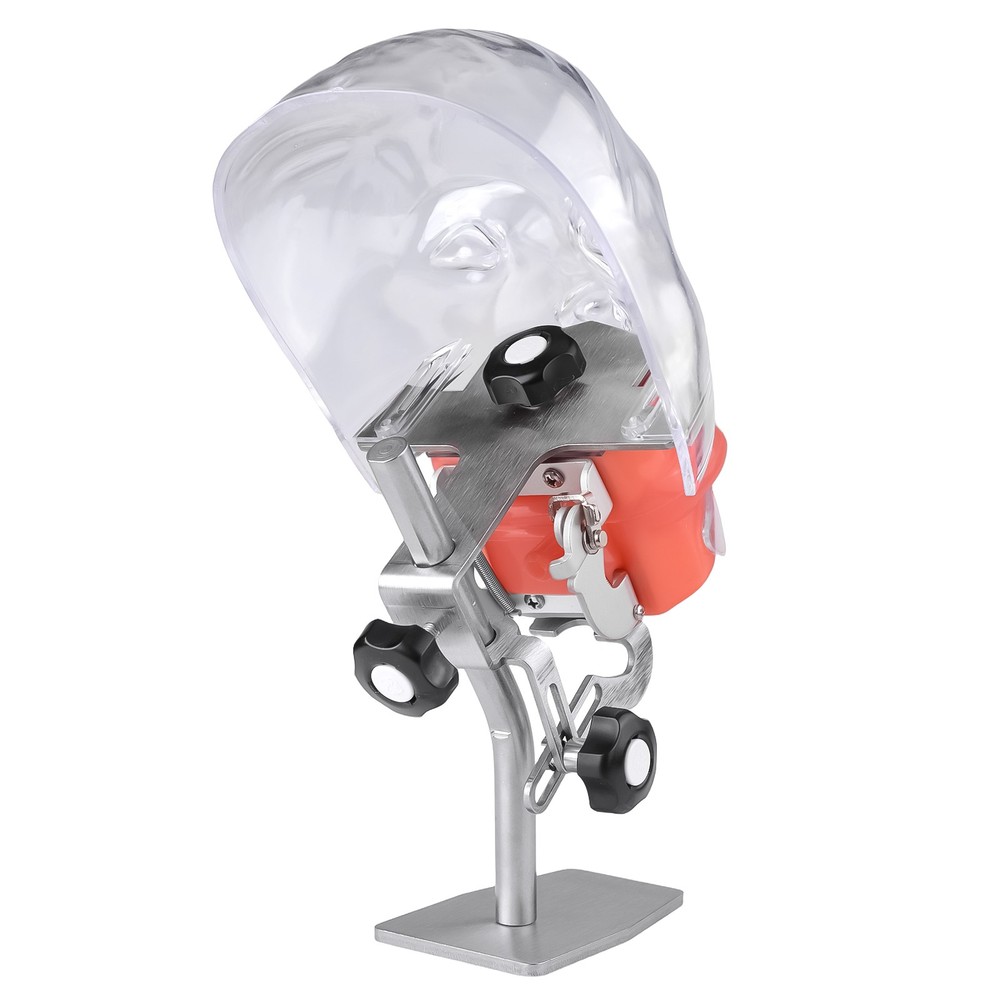Simple Head Model Dental Simulator Manikin Phantom Head Model with 28Pcs Teeth