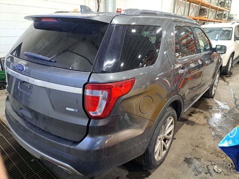 2016 Explorer Jack Sku#4361707