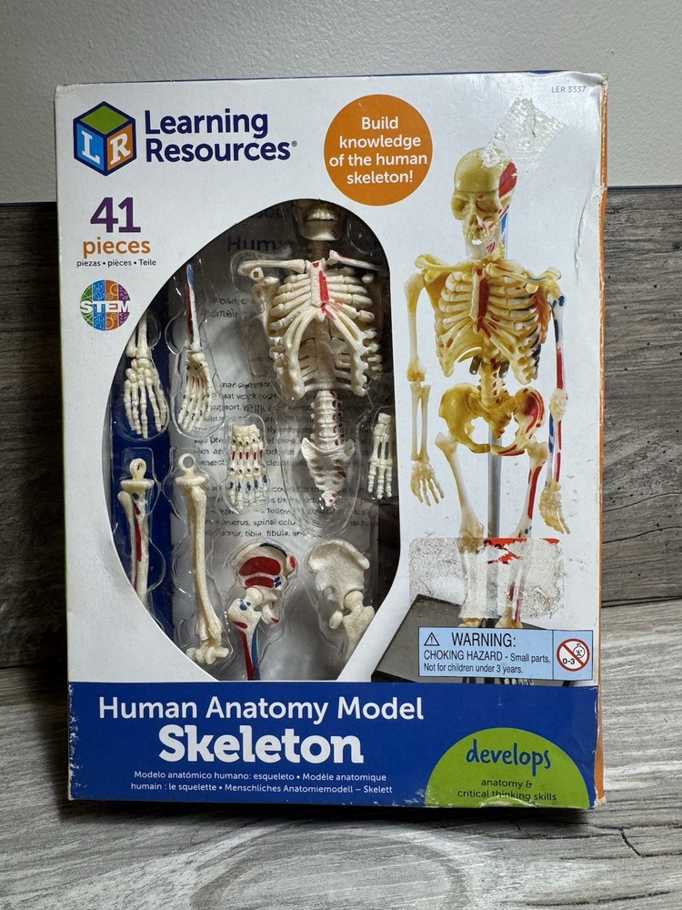 Learning Resources STEM Human Anatomy Skeleton 9.2" Tall Realistic Model ~ 41 Pc