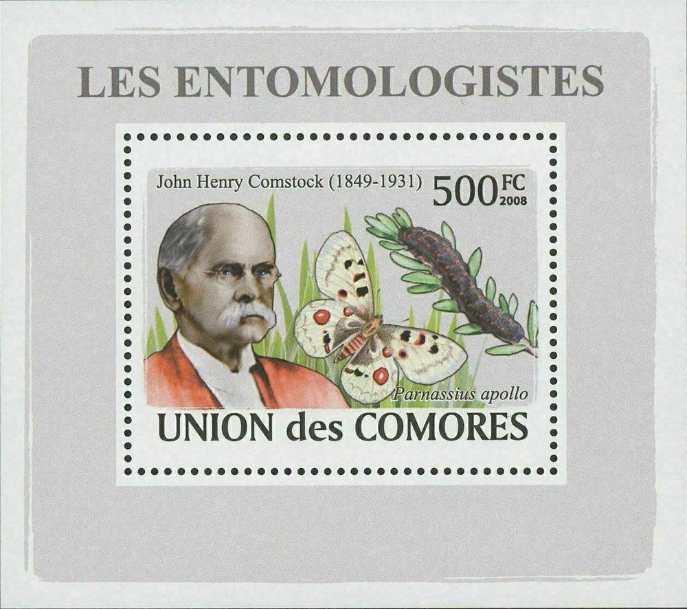 Entomologist John Henry Comstock Butterfly Mini Sov. Sheet MNH