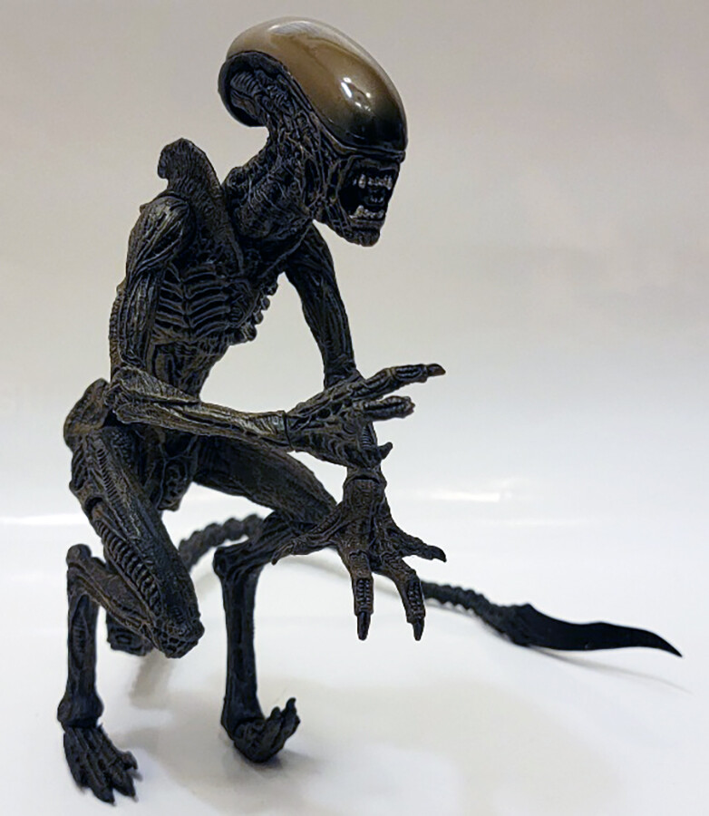 Alien VS Predator Posable Alien Figure 7” Action Figure