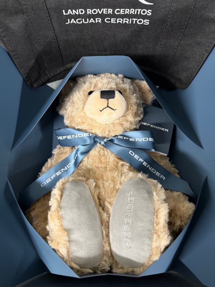 LAND ROVER DEFENDER BEAR *LIMITED EDITION*