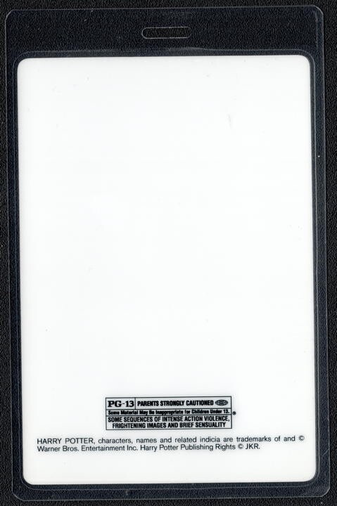 Harry Potter Deathly Hallows Pass - 2010 Laminated Pass