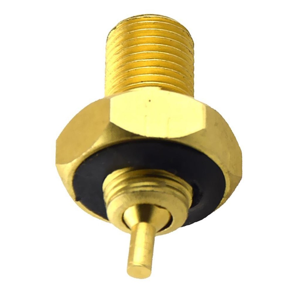 Internal Brass Tire Stem Adapter
