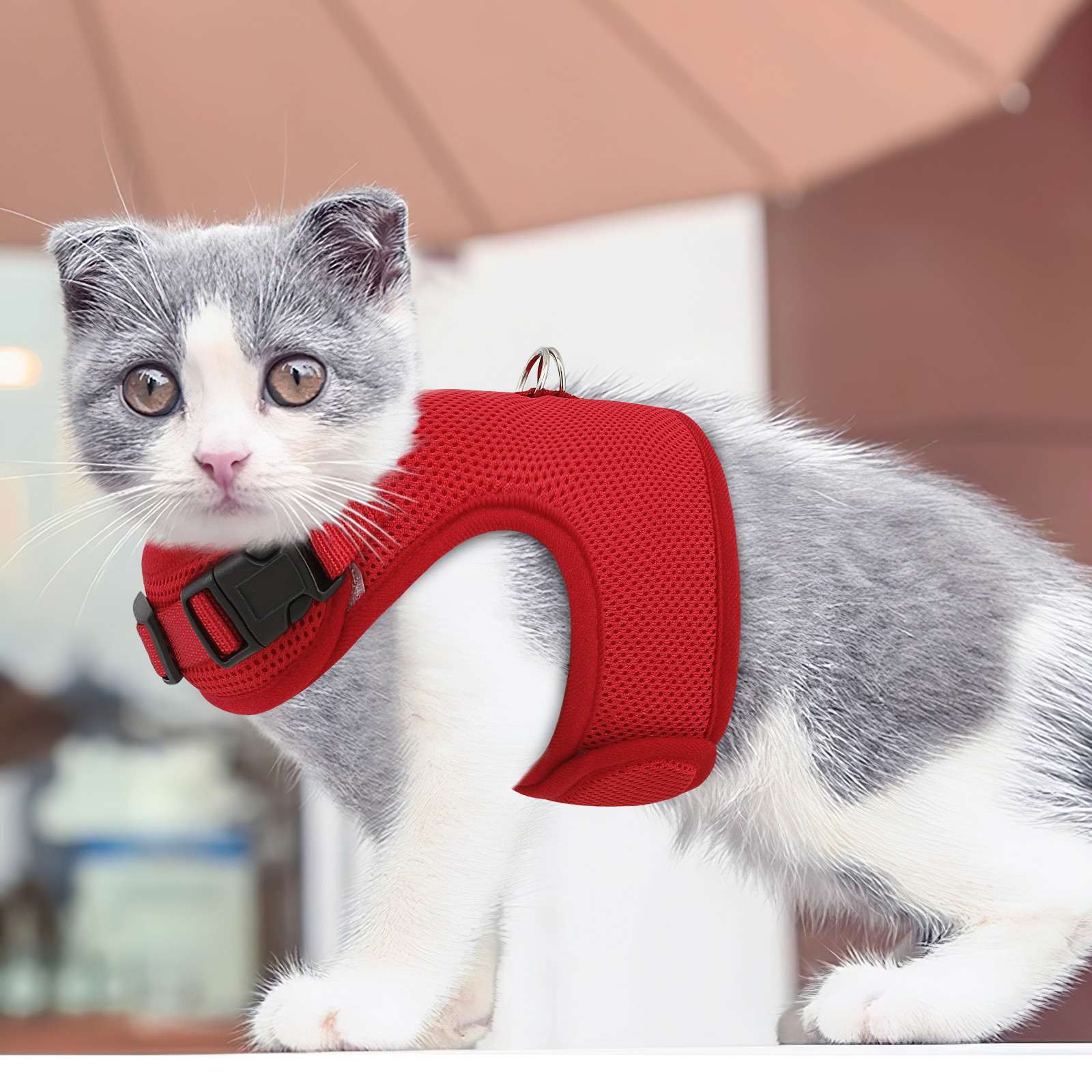 Breathable Mesh Cat Pet Harness Adjustable Escape Proof Jacket Chest Red Vest