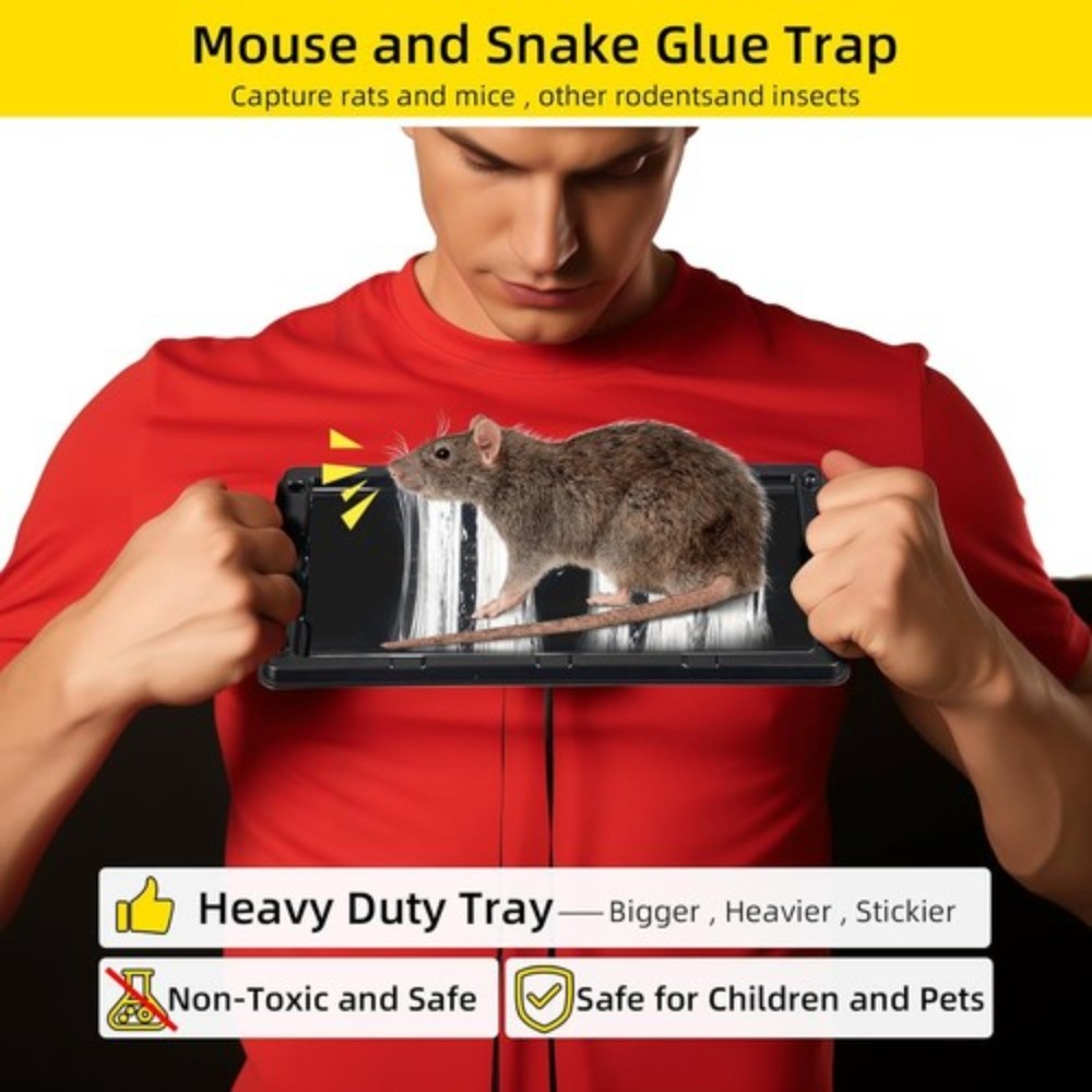 12 Pack Strong Plastic Mouse & Rat Traps – Quick & Effective Catching