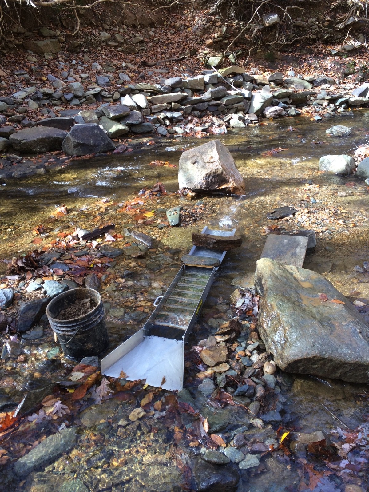 5 pounds bulk sample bag! UNSEARCHED PAYSTREAK gold paydirt! LOADED WITH GOLD