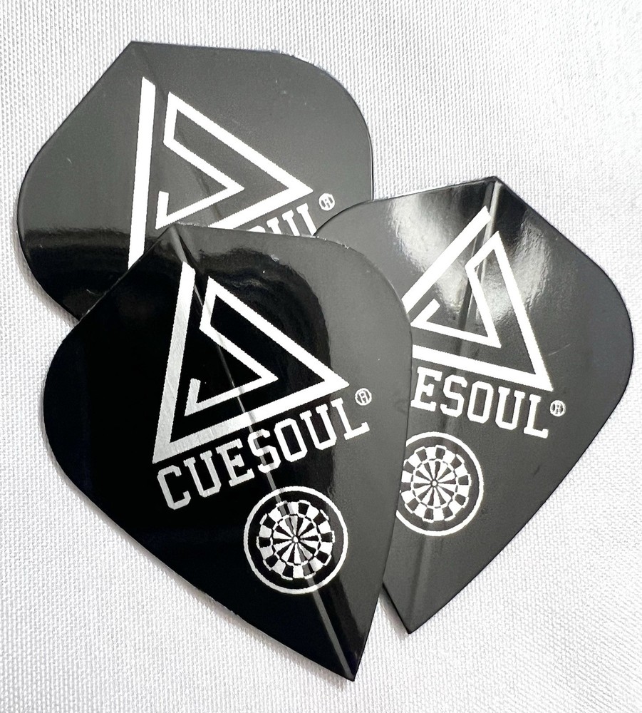 CUESOUL Dart Set With Replacement Customizable Parts. Missing Soft Tips AK5