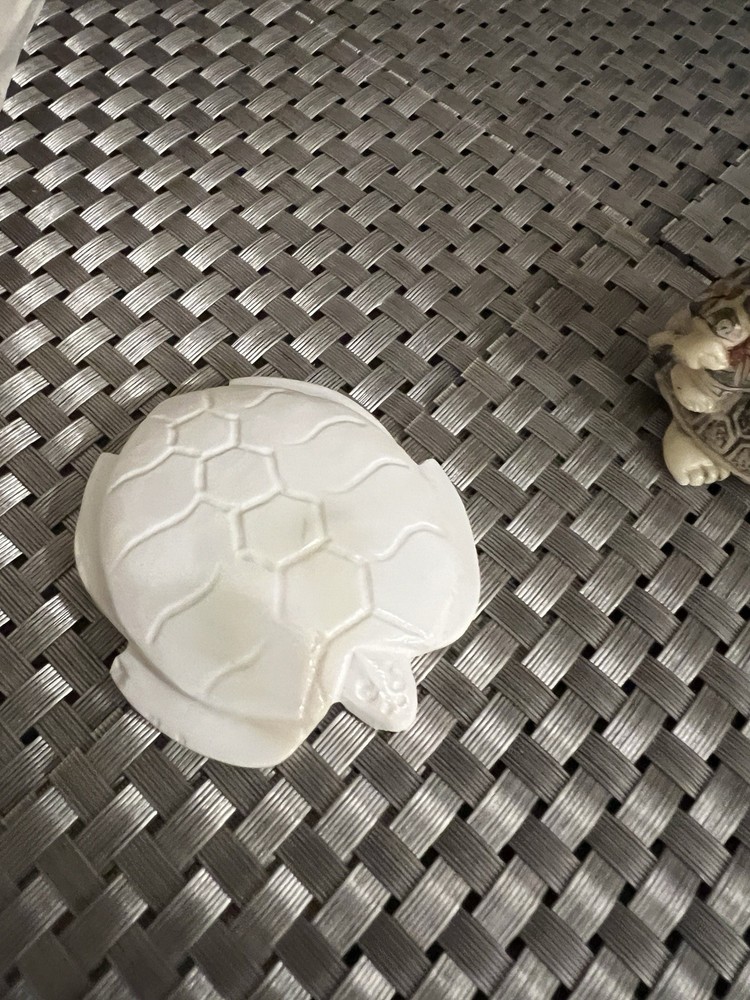 Turtle Collection